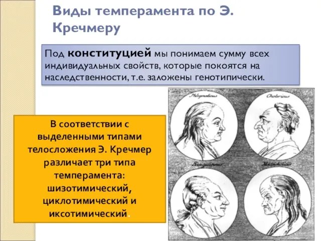 Под конституцией мы понимаем сумму всех индивидуальных свойств, которые покоятся на