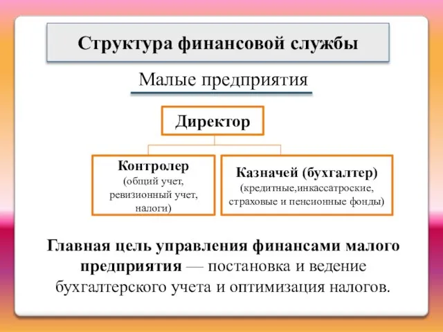 Структура финансовой службы Малые предприятия Директор Контролер (общий учет, ревизионный учет,