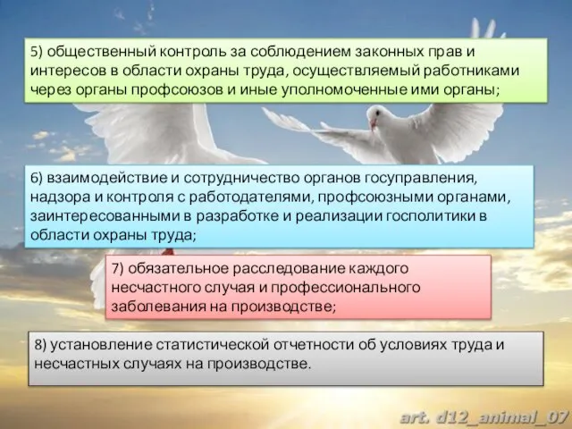 8) установление статистической отчетности об условиях труда и несчастных случаях на