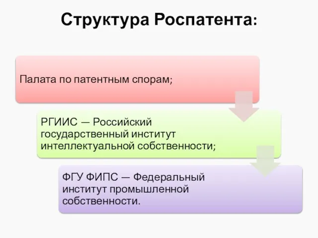 Структура Роспатента: