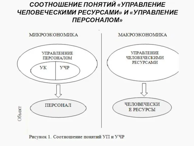 Соотношение понятий «Управление Человеческими Ресурсами» и «Управление Персоналом»