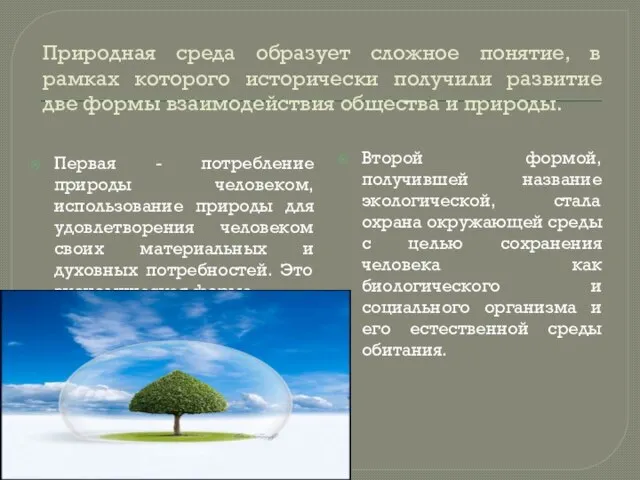 Природная среда образует сложное понятие, в рамках которого исторически получили развитие