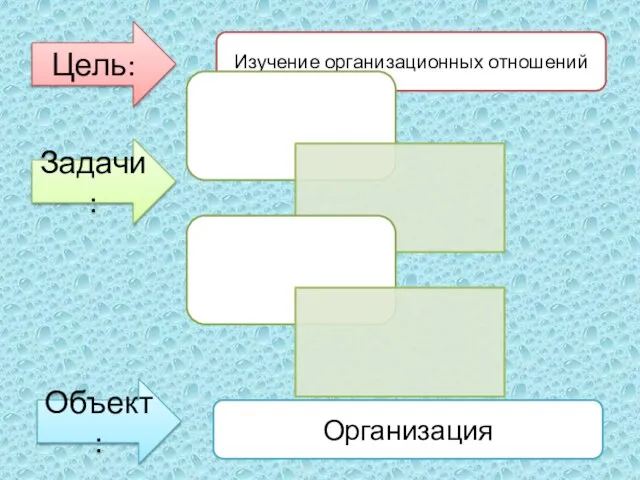 Цель: Изучение организационных отношений Задачи: Объект: Организация