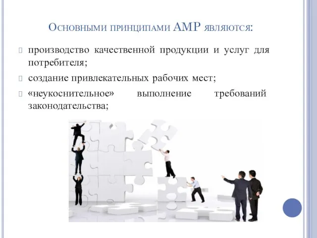 Основными принципами AMP являются: производство качественной продукции и услуг для потребителя;