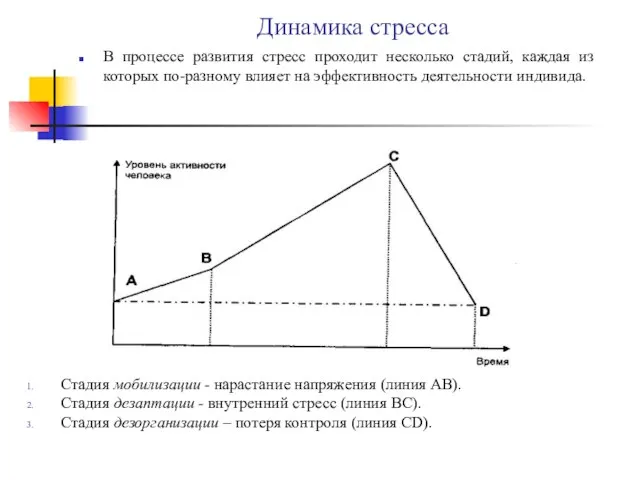 Динамика стресса В процессе развития стресс проходит несколько стадий, каждая из