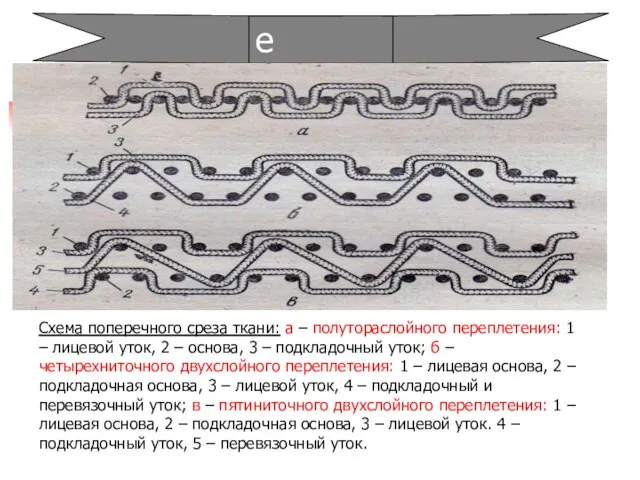 Сложные Схема поперечного среза ткани: а – полутораслойного переплетения: 1 –