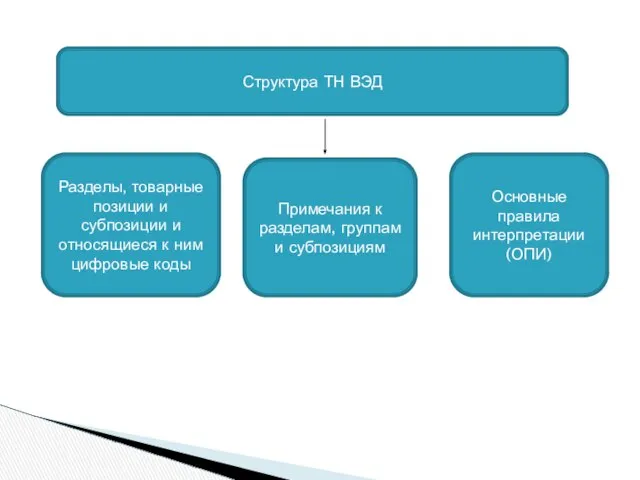 Структура ТН ВЭД Разделы, товарные позиции и субпозиции и относящиеся к