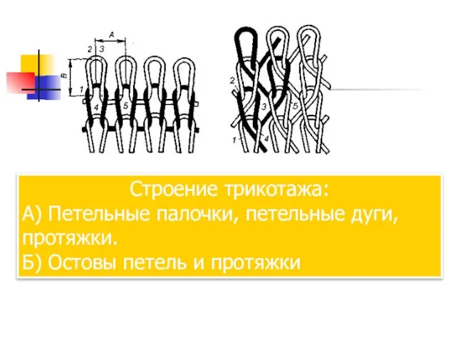 Строение трикотажа: А) Петельные палочки, петельные дуги, протяжки. Б) Остовы петель и протяжки