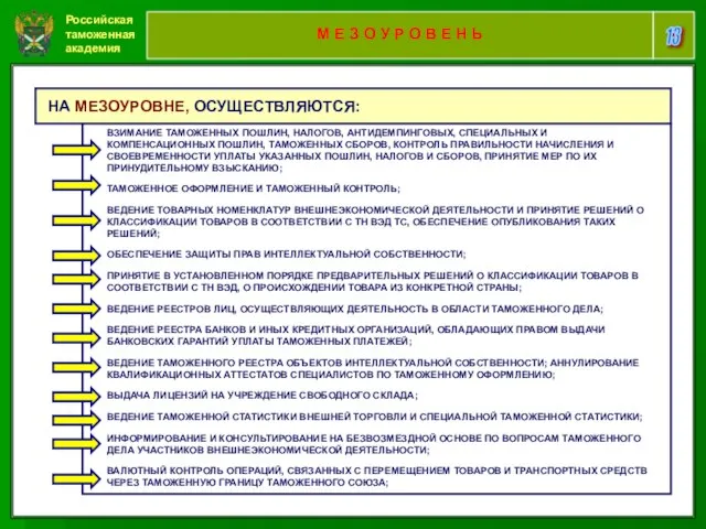 Российская таможенная академия 13 М Е З О У Р О