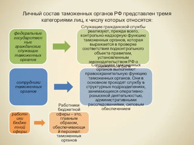 Личный состав таможенных органов РФ представлен тремя категориями лиц, к числу которых относятся: