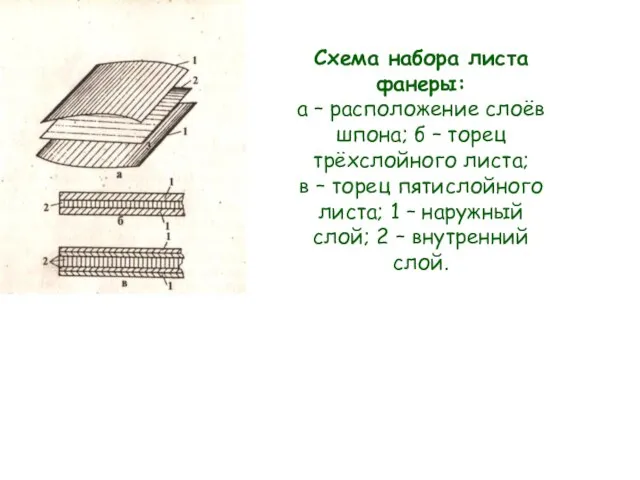 Схема набора листа фанеры: а – расположение слоёв шпона; б –
