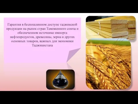 Гарантия в беспошлинном доступе таджикской продукции на рынок стран Таможенного союза