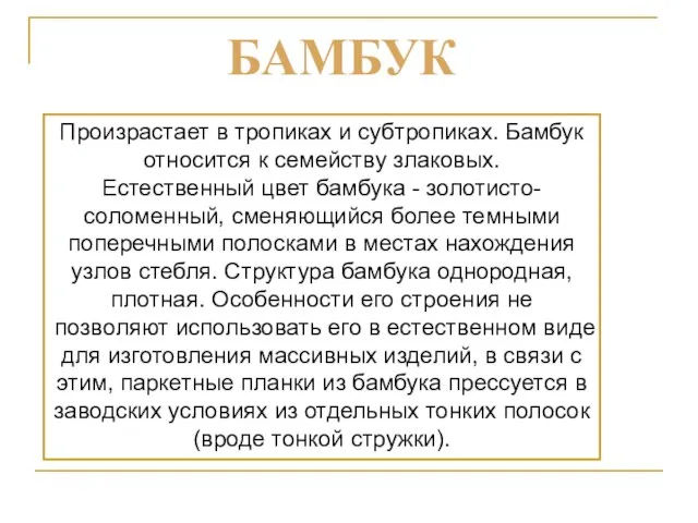 Произрастает в тропиках и субтропиках. Бамбук относится к семейству злаковых. Естественный