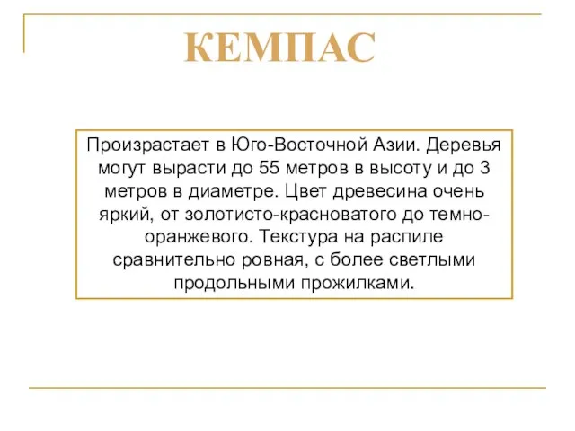 Произрастает в Юго-Восточной Азии. Деревья могут вырасти до 55 метров в