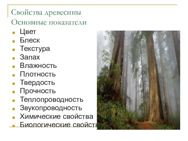 Свойства древесины Основные показатели Цвет Блеск Текстура Запах Влажность Плотность Твердость