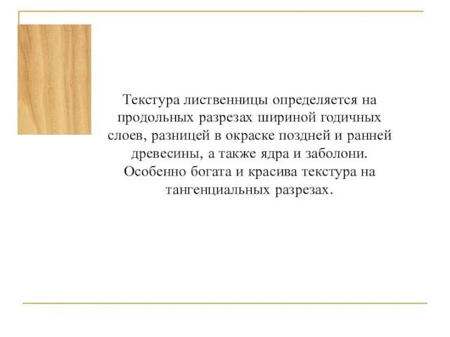 Текстура лиственницы определяется на продольных разрезах шириной годичных слоев, разницей в