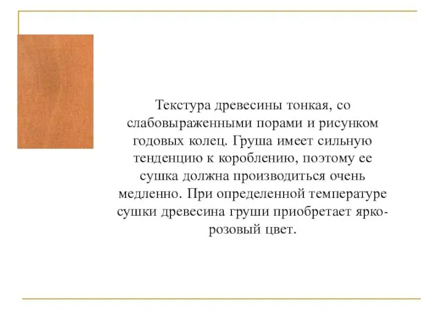 Текстура древесины тонкая, со слабовыраженными порами и рисунком годовых колец. Груша