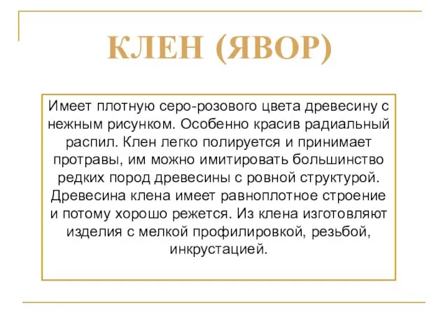 Имеет плотную серо-розового цвета древесину с нежным рисунком. Особенно красив радиальный