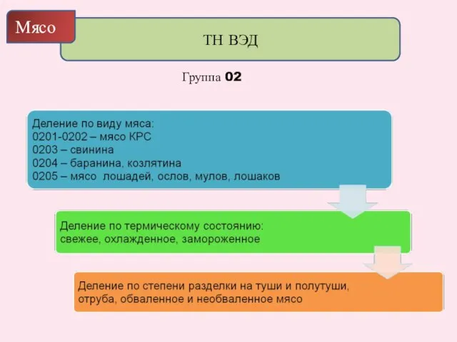 ТН ВЭД Мясо Группа 02