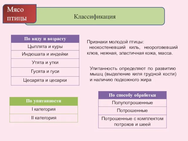 Классификация Мясо птицы Признаки молодой птицы: неокостеневший киль, неороговевший клюв, нежная,