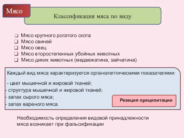 Классификация мяса по виду Мясо Мясо крупного рогатого скота Мясо свиней