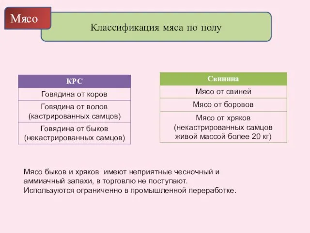 Классификация мяса по полу Мясо Мясо быков и хряков имеют неприятные