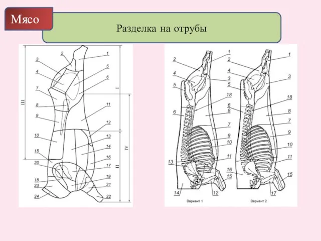 Разделка на отрубы Мясо