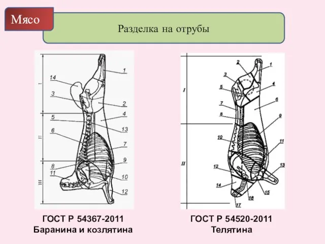 Разделка на отрубы Мясо ГОСТ Р 54367-2011 Баранина и козлятина ГОСТ Р 54520-2011 Телятина