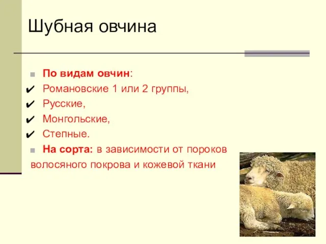 По видам овчин: Романовские 1 или 2 группы, Русские, Монгольские, Степные.