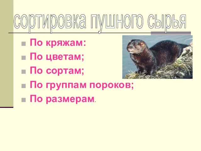 По кряжам: По цветам; По сортам; По группам пороков; По размерам. сортировка пушного сырья