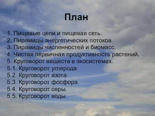 План 1. Пищевые цепи и пищевая сеть. 2. Пирамиды энергетических потоков.