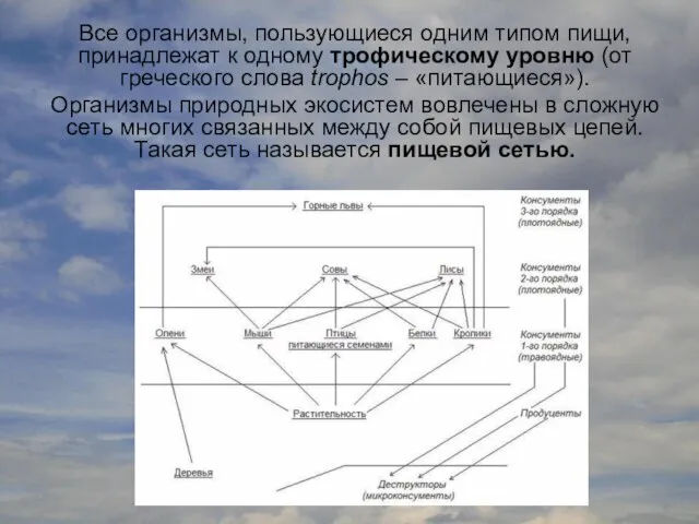 Все организмы, пользующиеся одним типом пищи, принадлежат к одному трофическому уровню