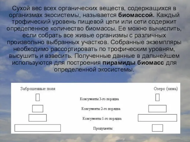 Сухой вес всех органических веществ, содержащихся в организмах экосистемы, называется биомассой.