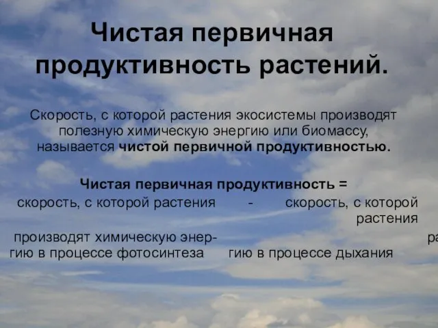 Чистая первичная продуктивность растений. Скорость, с которой растения экосистемы производят полезную