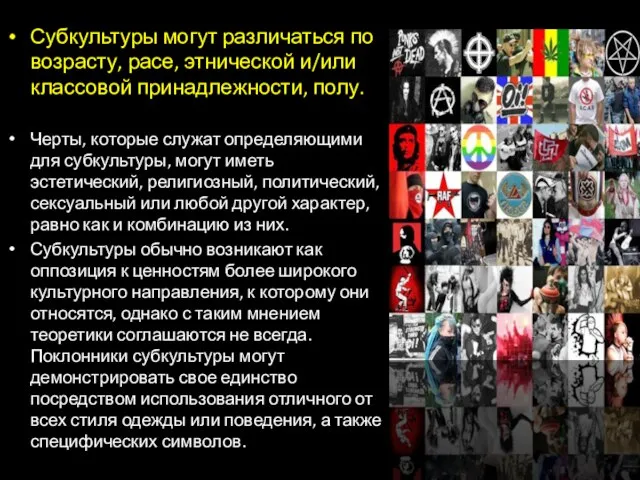 Субкультуры могут различаться по возрасту, расе, этнической и/или классовой принадлежности, полу.