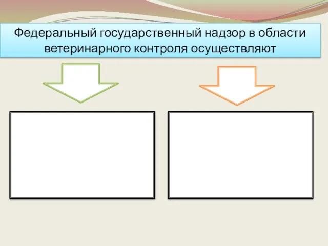 Федеральный государственный надзор в области ветеринарного контроля осуществляют