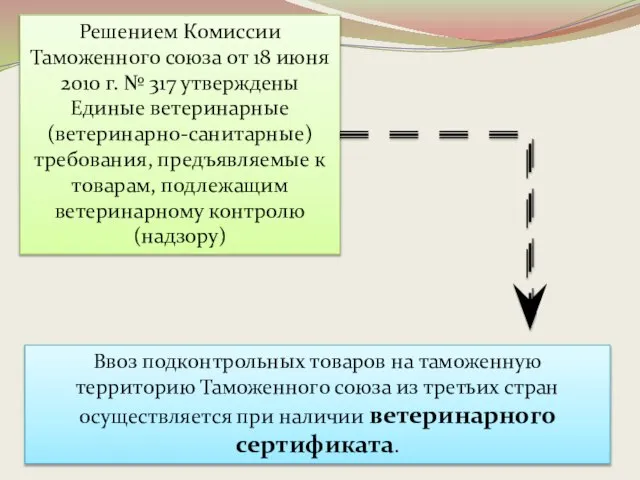 Решением Комиссии Таможенного союза от 18 июня 2010 г. № 317