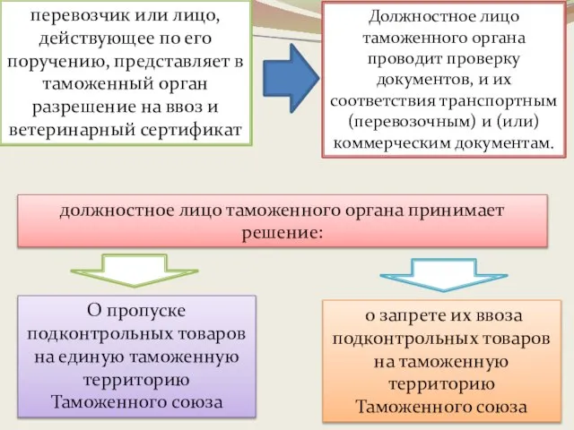 перевозчик или лицо, действующее по его поручению, представляет в таможенный орган