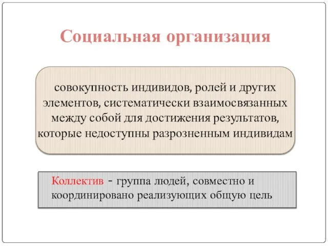 Коллектив - группа людей, совместно и координировано реализующих общую цель Социальная организация