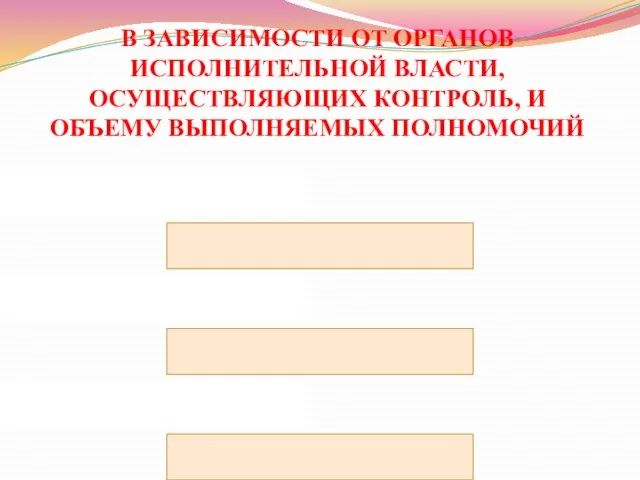 В ЗАВИСИМОСТИ ОТ ОРГАНОВ ИСПОЛНИТЕЛЬНОЙ ВЛАСТИ, ОСУЩЕСТВЛЯЮЩИХ КОНТРОЛЬ, И ОБЪЕМУ ВЫПОЛНЯЕМЫХ ПОЛНОМОЧИЙ