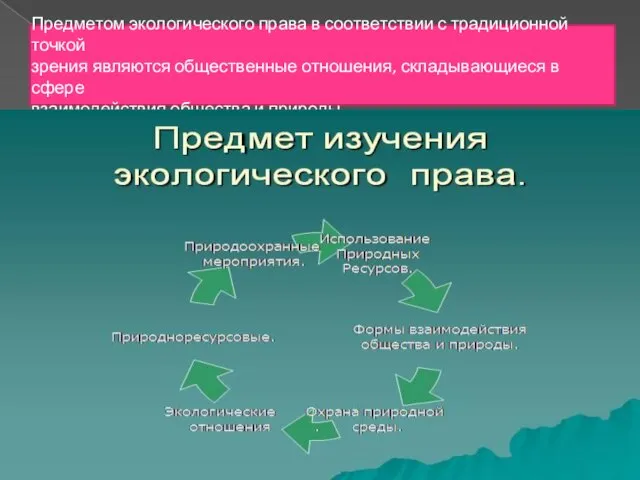 Предметом экологического права в соответствии с традиционной точкой зрения являются общественные