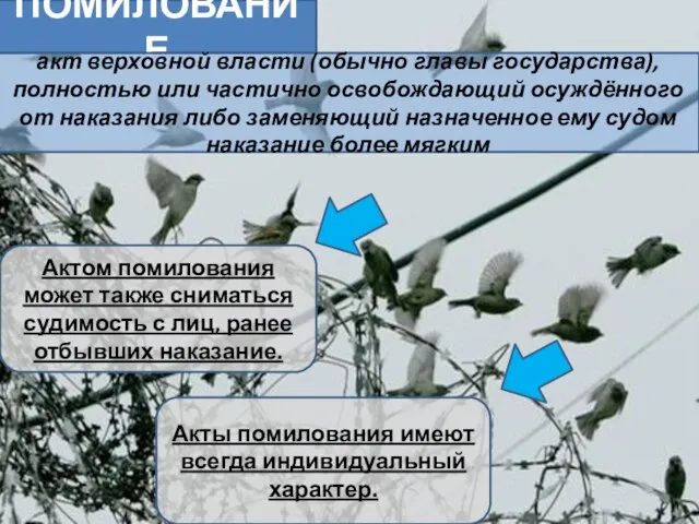 ПОМИЛОВАНИЕ акт верховной власти (обычно главы государства), полностью или частично освобождающий