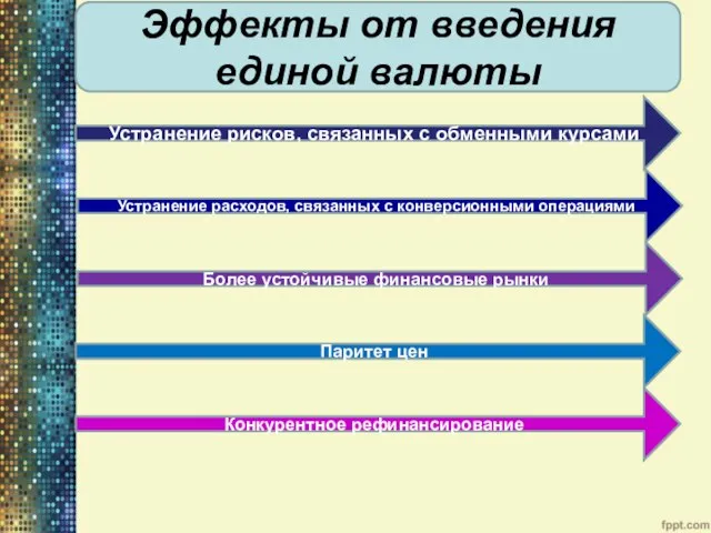 Эффекты от введения единой валюты Устранение рисков, связанных с обменными курсами