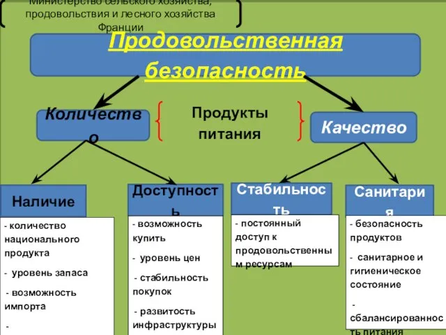 Продовольственная безопасность Количество Качество Продукты питания Наличие Доступность Стабильность Санитария -