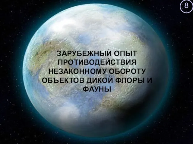 ЗАРУБЕЖНЫЙ ОПЫТ ПРОТИВОДЕЙСТВИЯ НЕЗАКОННОМУ ОБОРОТУ ОБЪЕКТОВ ДИКОЙ ФЛОРЫ И ФАУНЫ