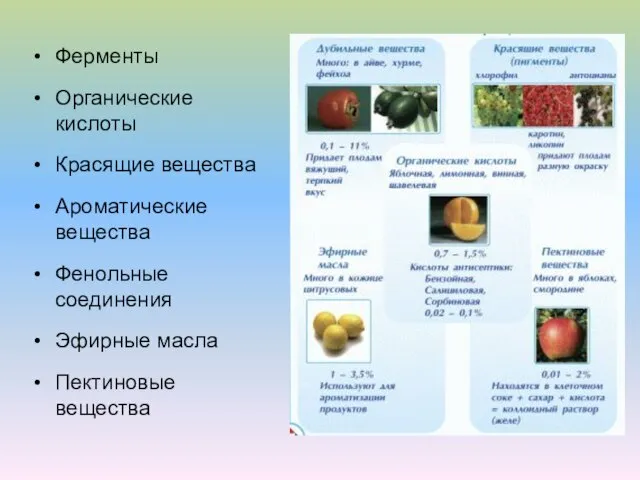 Ферменты Органические кислоты Красящие вещества Ароматические вещества Фенольные соединения Эфирные масла Пектиновые вещества