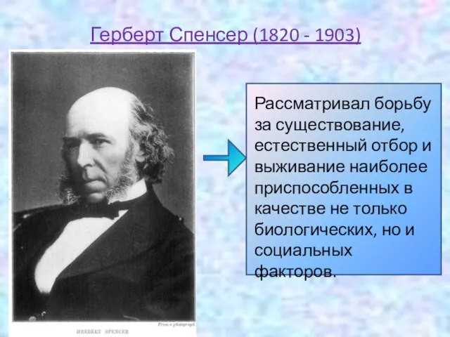 Герберт Спенсер (1820 - 1903) Рассматривал борьбу за существование, естественный отбор