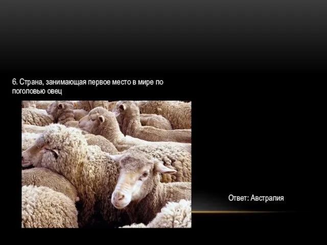 6. Страна, занимающая первое место в мире по поголовью овец Ответ: Австралия