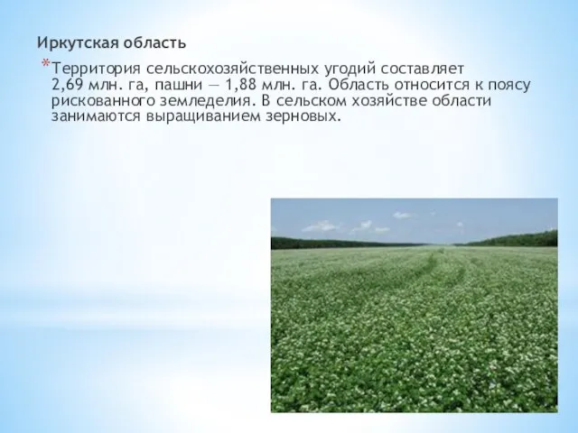 Иркутская область Территория сельскохозяйственных угодий составляет 2,69 млн. га, пашни —