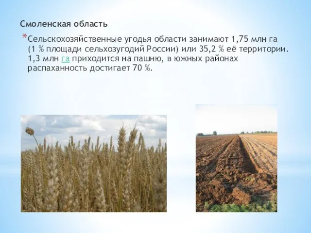 Смоленская область Сельскохозяйственные угодья области занимают 1,75 млн га (1 %